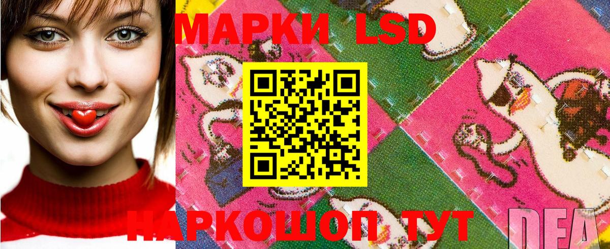 Псков  хочу   Вход с VPN  Марки N-bome 1,8мг 