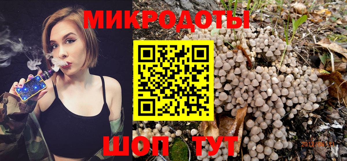 Псков  Псилоцибиновые грибы GOLDEN TEACHER  Вход с VPN 